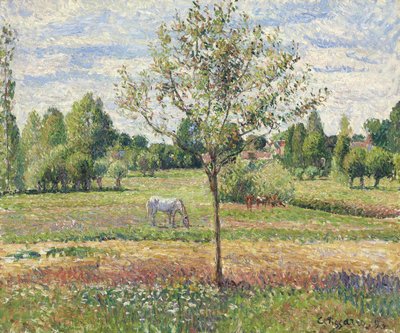 De weide met grijs paard, Eragny door Camille Jacob Pissarro